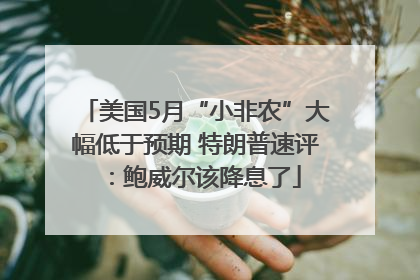 美国5月“小非农”大幅低于预期 特朗普速评：鲍威尔该降息了