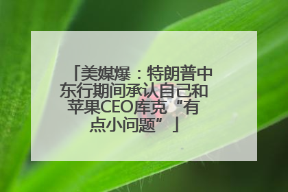 美媒爆：特朗普中东行期间承认自己和苹果CEO库克“有点小问题”