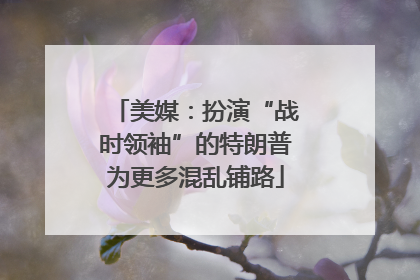 美媒：扮演“战时领袖”的特朗普为更多混乱铺路