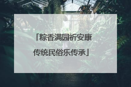 粽香满园祈安康 传统民俗乐传承