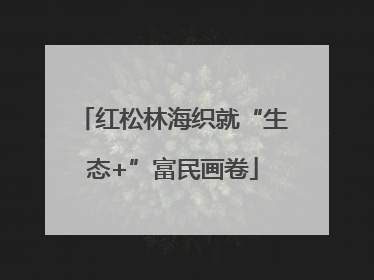 红松林海织就“生态+”富民画卷