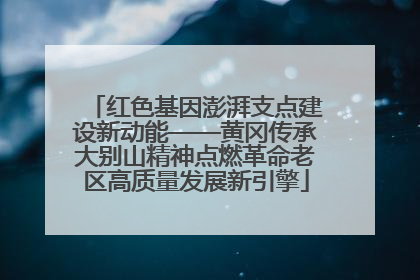 红色基因澎湃支点建设新动能——黄冈传承大别山精神点燃革命老区高质量发展新引擎