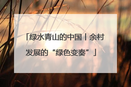 绿水青山的中国丨余村发展的“绿色变奏”