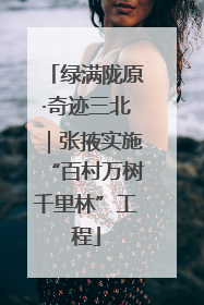 绿满陇原·奇迹三北｜张掖实施“百村万树千里林”工程