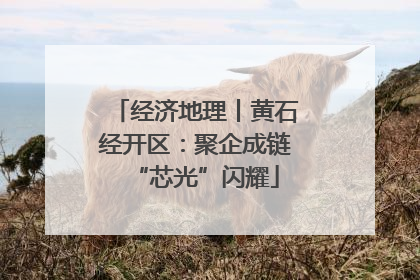 经济地理丨黄石经开区：聚企成链“芯光”闪耀