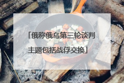 俄称俄乌第三轮谈判主题包括战俘交换