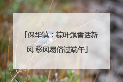 保华镇：粽叶飘香话新风 移风易俗过端午