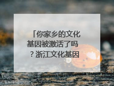 你家乡的文化基因被激活了吗？浙江文化基因图谱即将上线