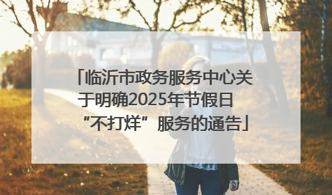 临沂市政务服务中心关于明确2025年节假日“不打烊”服务的通告