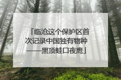 临沧这个保护区首次记录中国独有物种——黑顶蛙口夜鹰