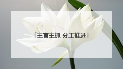 主官主抓 分工推进