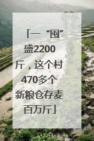 一“囤”盛2200斤，这个村470多个新粮仓存麦百万斤