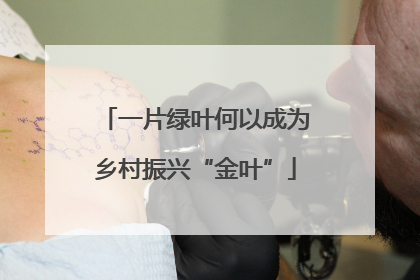 一片绿叶何以成为乡村振兴“金叶”