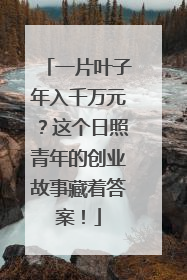 一片叶子年入千万元？这个日照青年的创业故事藏着答案！
