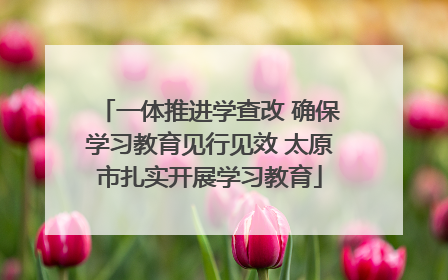 一体推进学查改 确保学习教育见行见效 太原市扎实开展学习教育