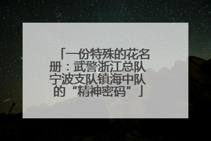 一份特殊的花名册：武警浙江总队宁波支队镇海中队的“精神密码”
