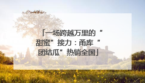 一场跨越万里的“甜蜜”接力：甬库“团结瓜”热销全国