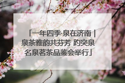 一年四季·泉在济南｜泉茶雅韵共芬芳 趵突泉名泉茗茶品鉴会举行