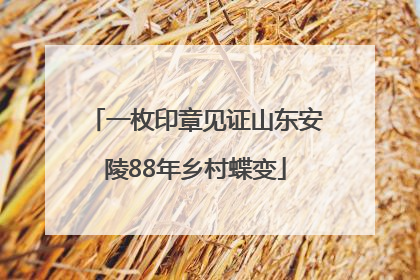 一枚印章见证山东安陵88年乡村蝶变