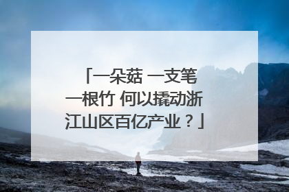 一朵菇 一支笔 一根竹 何以撬动浙江山区百亿产业？