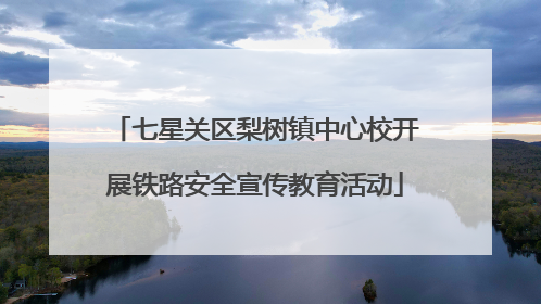七星关区梨树镇中心校开展铁路安全宣传教育活动