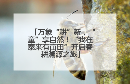 万象“耕”新，“童”享自然！“我在泰来有亩田”开启春耕溯源之旅