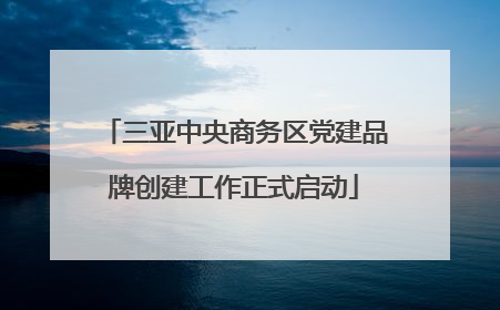 三亚中央商务区党建品牌创建工作正式启动