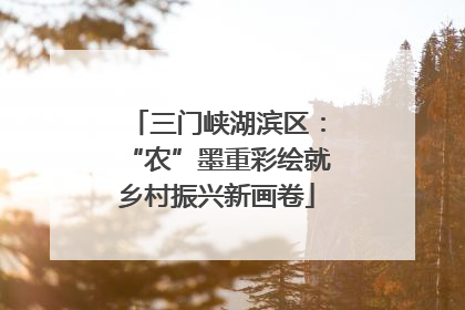 三门峡湖滨区：“农”墨重彩绘就乡村振兴新画卷