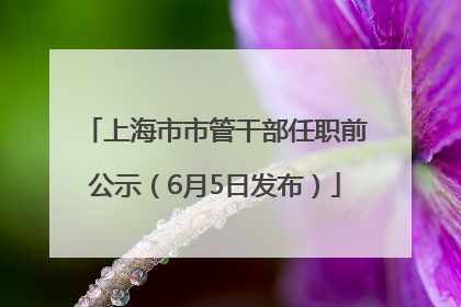上海市市管干部任职前公示（6月5日发布）