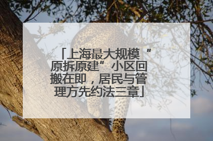 上海最大规模“原拆原建”小区回搬在即，居民与管理方先约法三章
