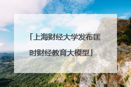 上海财经大学发布匡时财经教育大模型
