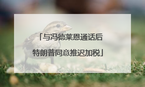 与冯德莱恩通话后 特朗普同意推迟加税