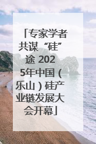专家学者共谋“硅”途 2025年中国（乐山）硅产业链发展大会开幕