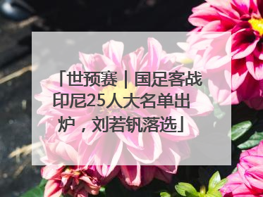 世预赛｜国足客战印尼25人大名单出炉，刘若钒落选