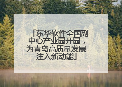 东华软件全国副中心产业园开园，为青岛高质量发展注入新动能