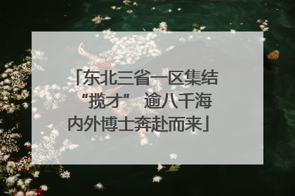 东北三省一区集结“揽才” 逾八千海内外博士奔赴而来