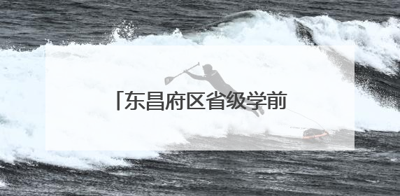 东昌府区省级学前教育游戏活动实验区建设推进会召开