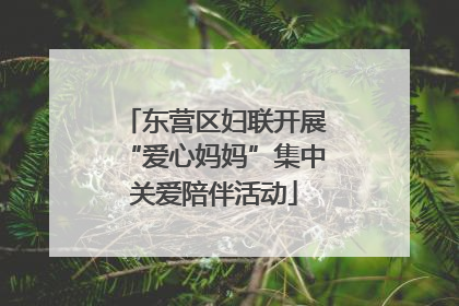 东营区妇联开展“爱心妈妈”集中关爱陪伴活动