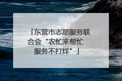 东营市志愿服务联合会“农忙来帮忙 服务不打烊”