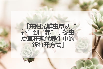 东阳光鲜虫草从“补”到“养”，冬虫夏草在现代养生中的新打开方式