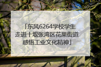 东风6264学校学生走进十堰张湾区花果街道感悟工业文化精神