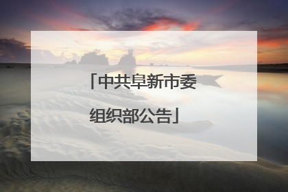 中共阜新市委组织部公告