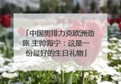 中国男排力克欧洲劲旅 主帅海宁：这是一份最好的生日礼物