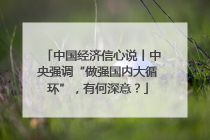 中国经济信心说丨中央强调“做强国内大循环”，有何深意？