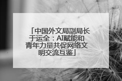 中国外文局副局长于运全：AI赋能和青年力量共促网络文明交流互鉴