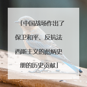中国战场作出了保卫和平、反抗法西斯主义的彪炳史册的历史贡献
