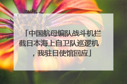 中国航母编队战斗机拦截日本海上自卫队巡逻机，我驻日使馆回应