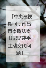 中央巡视期间，南昌市委政法委书记吴建平主动交代问题