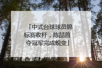 中式台球球员锦标赛收杆，陈喆首夺冠军完成蜕变