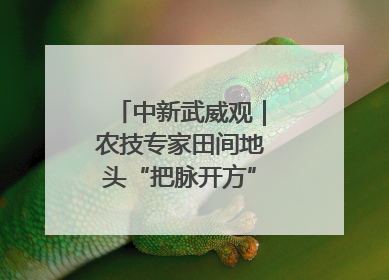 中新武威观｜农技专家田间地头“把脉开方”送“及时雨”